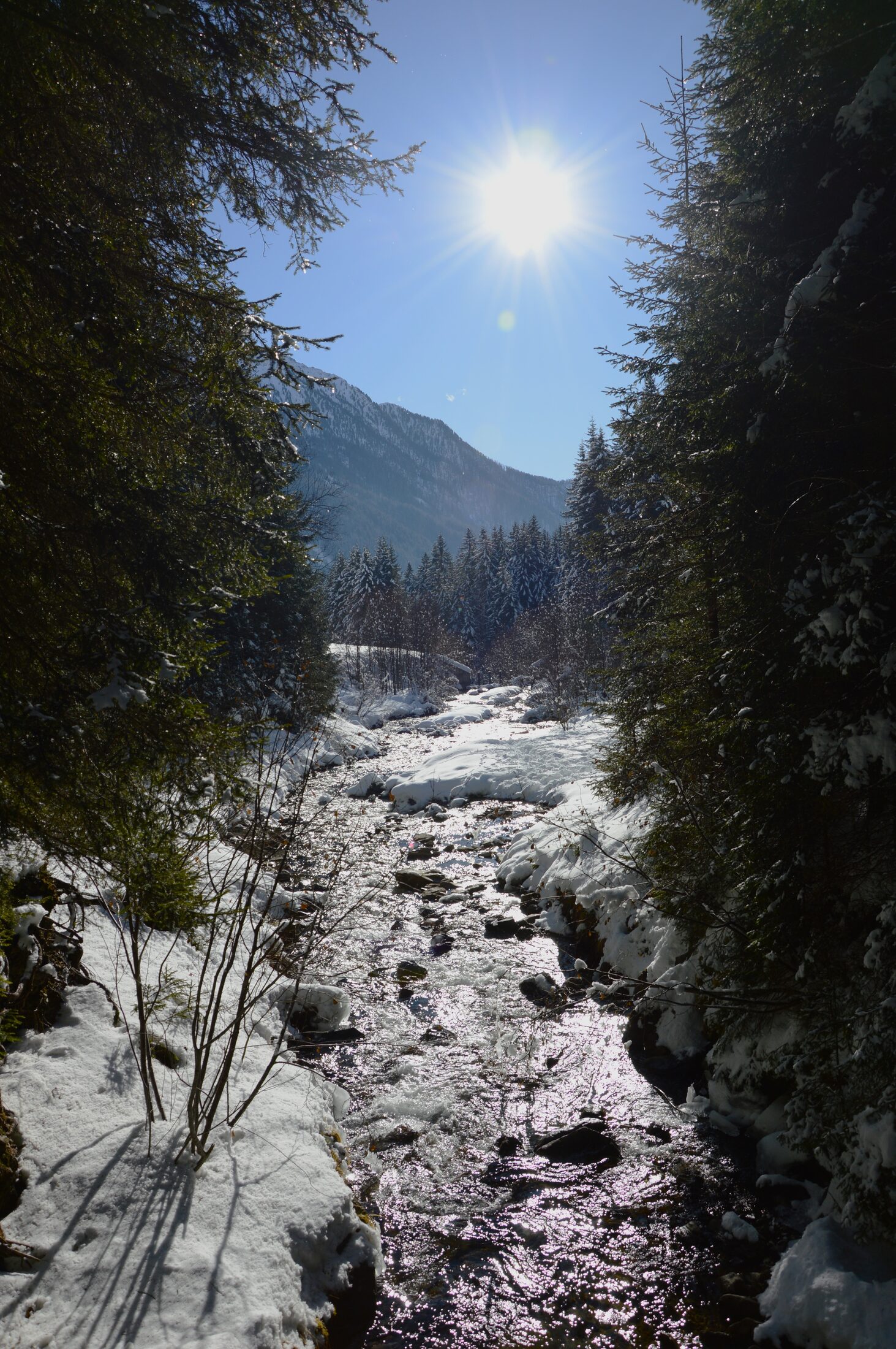 Sunlit river through a snowy forest